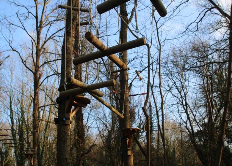 Ascension dans les arbres dans le Calvados©Accrofury