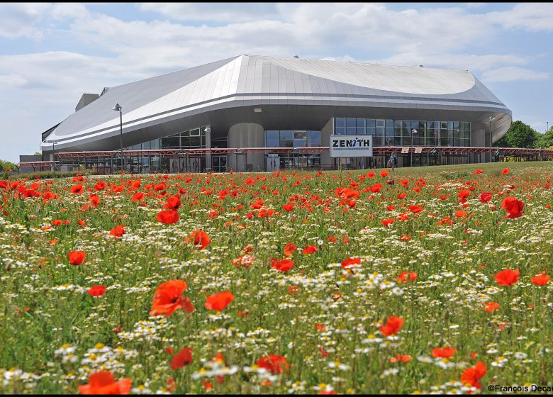 Zénith Caen – Exterieur coquelicots – ©Zénith de Caen_FDecaens-min