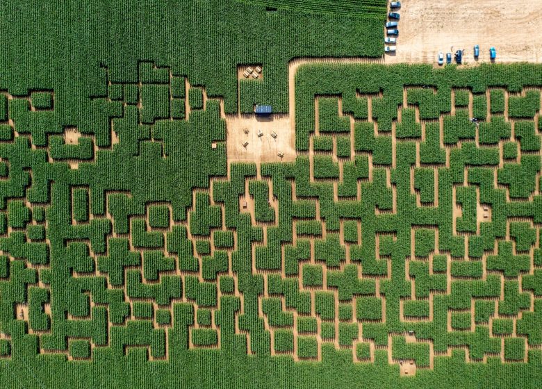 Pop Corn Labyrinthe - Accueil pique-nique