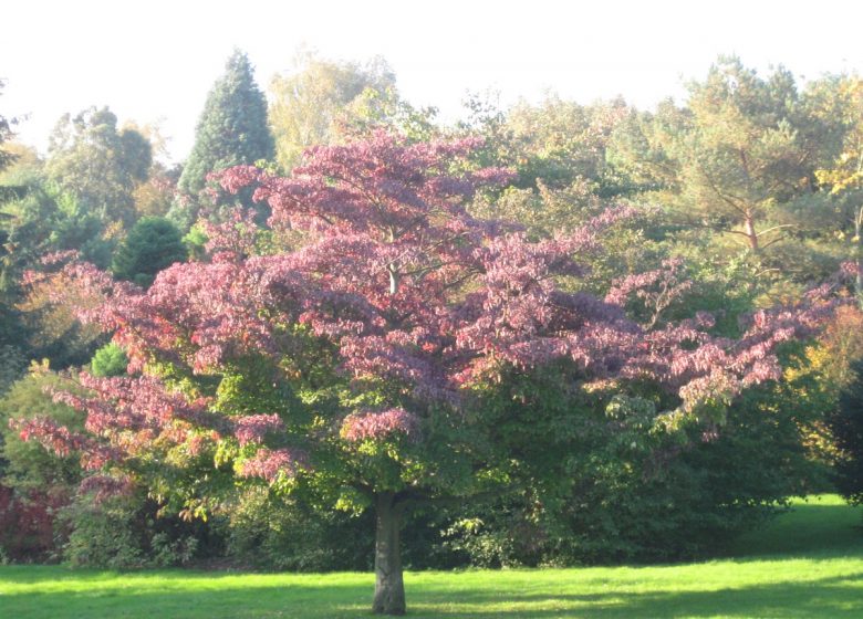 Vallée des Jardins Caen Normandie